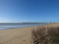 labaule_bas1.jpg